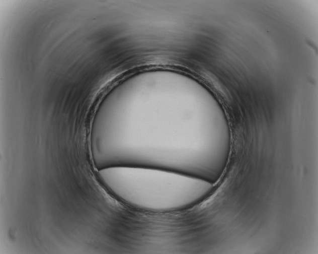 X0000097890831200803141003