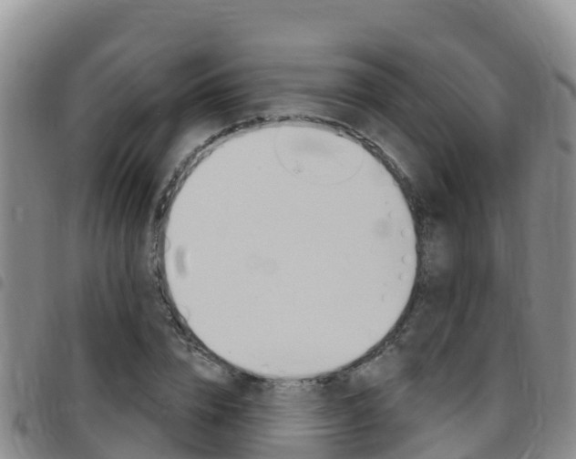 X0000097890832200803141003