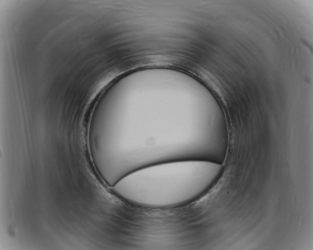 X0000097890835200803141003