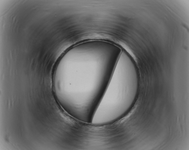 X0000097890837200803141003