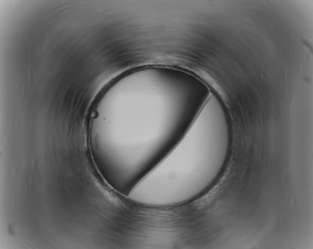 X0000097890838200803141003