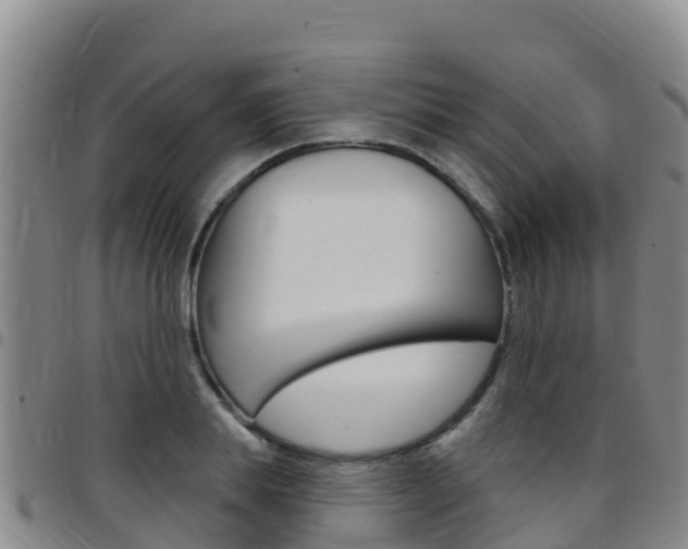 X0000097890839200803141003