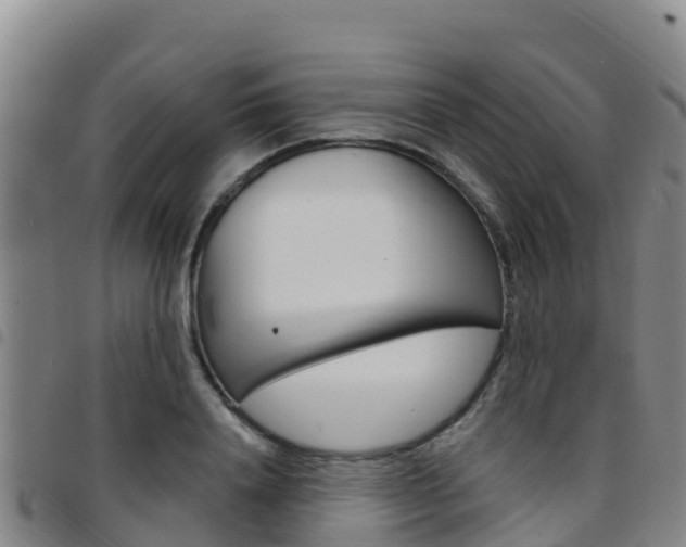 X0000097890840200803141003
