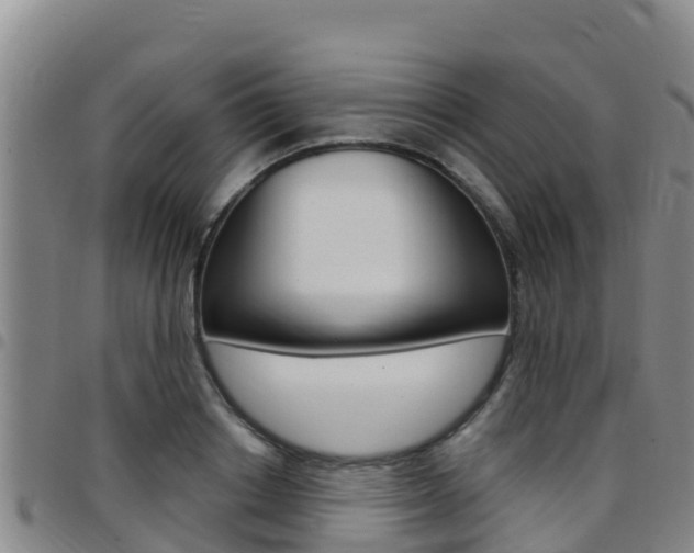 X0000097890842200803141003