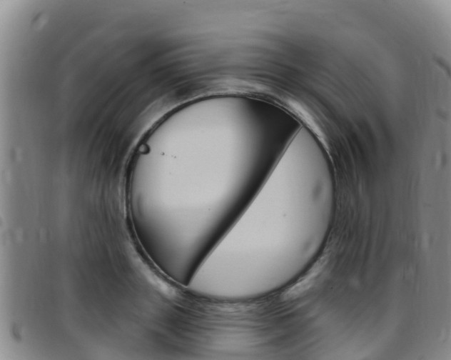 X0000097890843200803141003