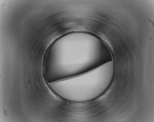 X0000097890845200803141003