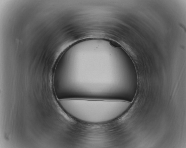 X0000097890846200803141003