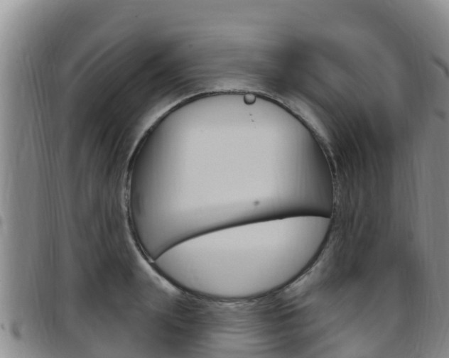 X0000097890847200803141003