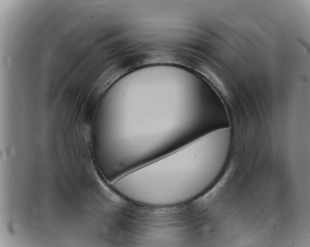 X0000097890849200803141003