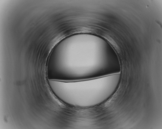 X0000097890850200803141003