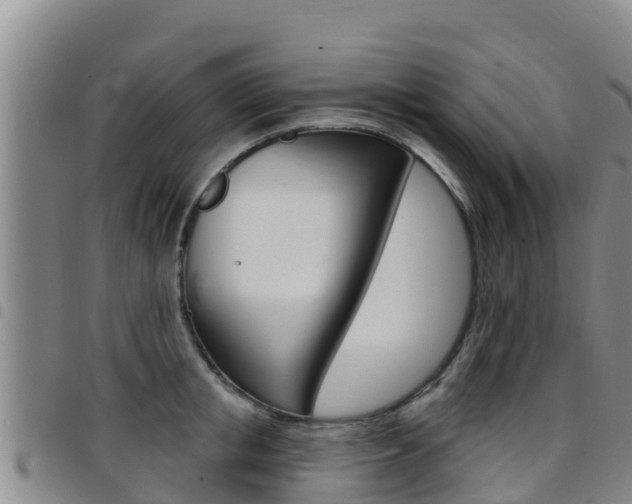 X0000097890853200803141003