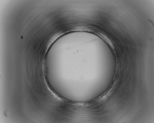 X0000097890855200803141003