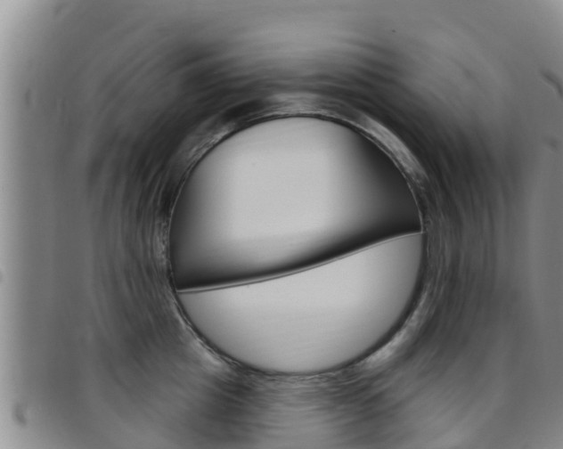 X0000097890857200803141003