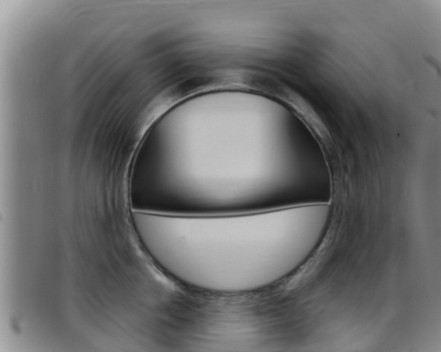 X0000097890858200803141003