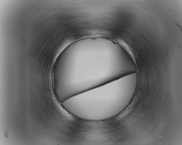 X0000097890859200803141003