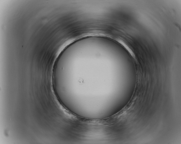 X0000097890861200803141003