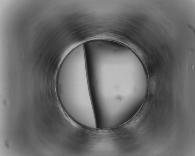 X0000097890862200803141003
