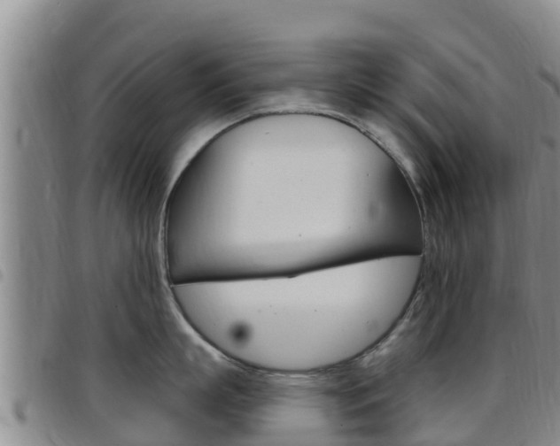X0000097890863200803141003