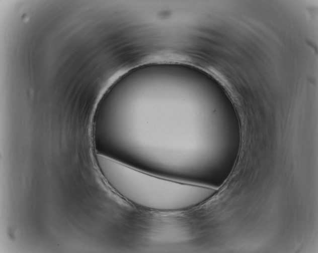 X0000097890864200803141004