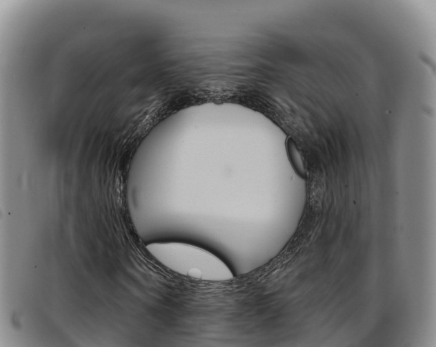 X0000097890866200803141003
