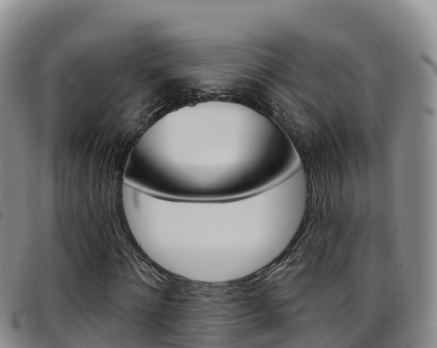 X0000097890868200803141003