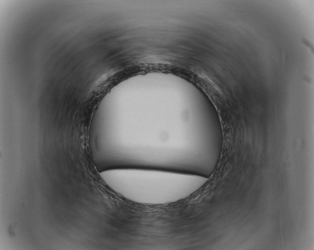 X0000097890870200803141003