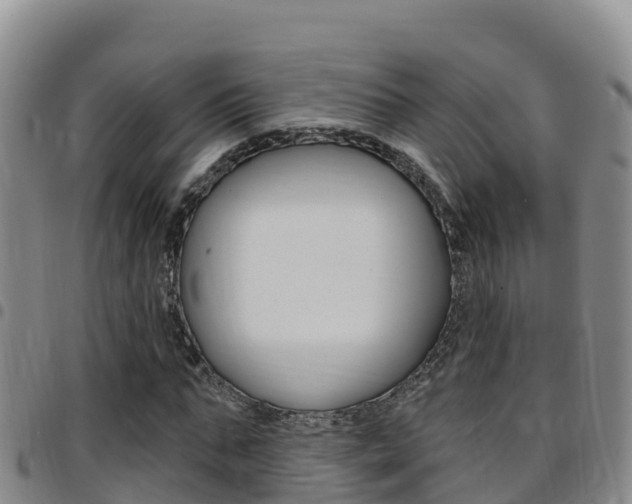 X0000097890871200803141003