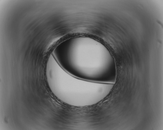 X0000097890872200803141003