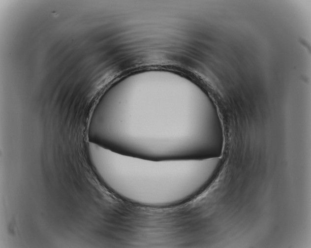 X0000097890873200803141003
