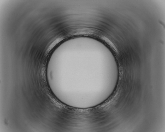 X0000097890874200803141003