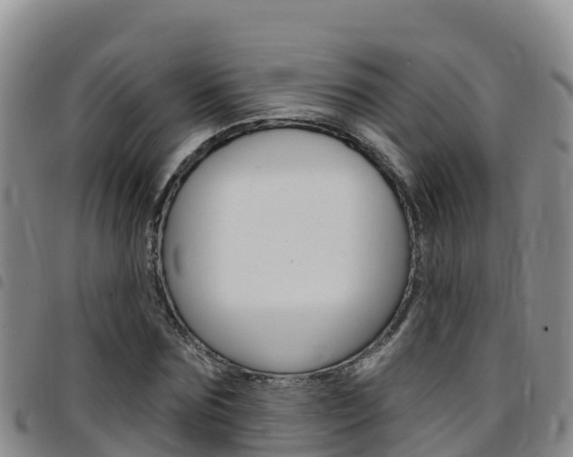 X0000097890875200803141003