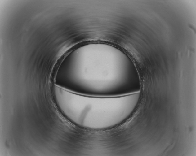 X0000097890876200803141003