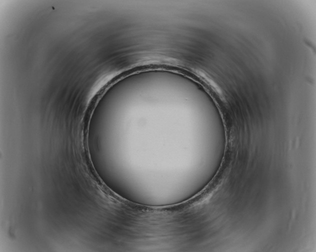 X0000097890877200803141003