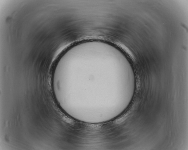 X0000097890878200803141003