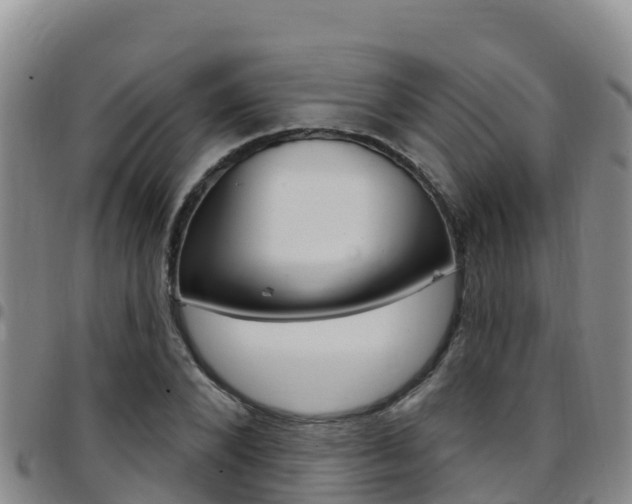 X0000097890880200803141003