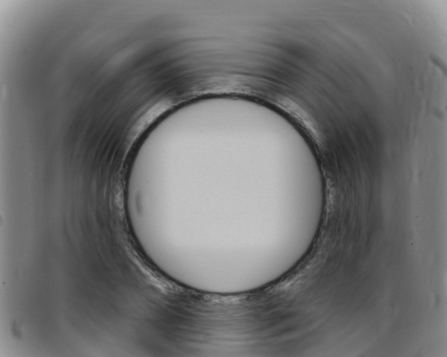 X0000097890882200803141003