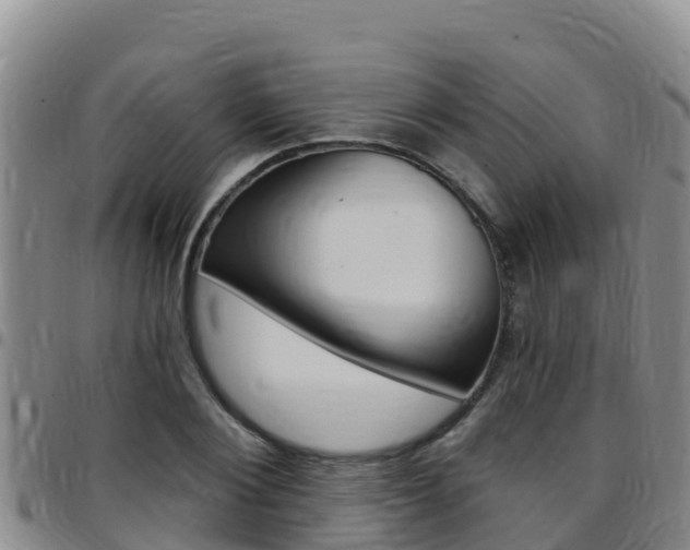 X0000097890884200803141003