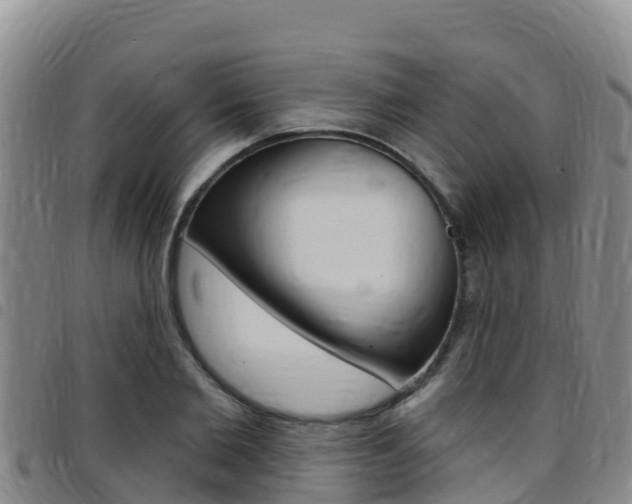 X0000097890885200803141003