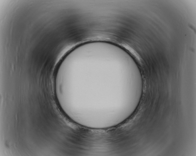 X0000097890886200803141003