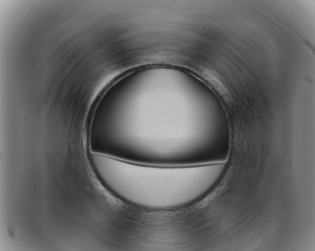X0000097890888200803141003