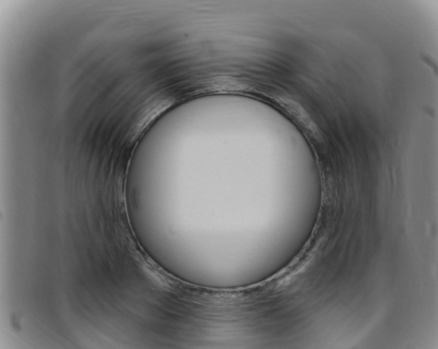 X0000097890889200803141003