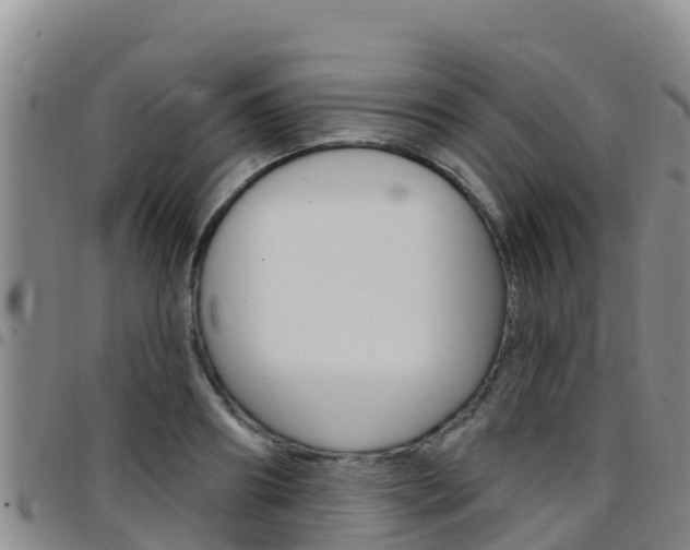 X0000097890890200803141003