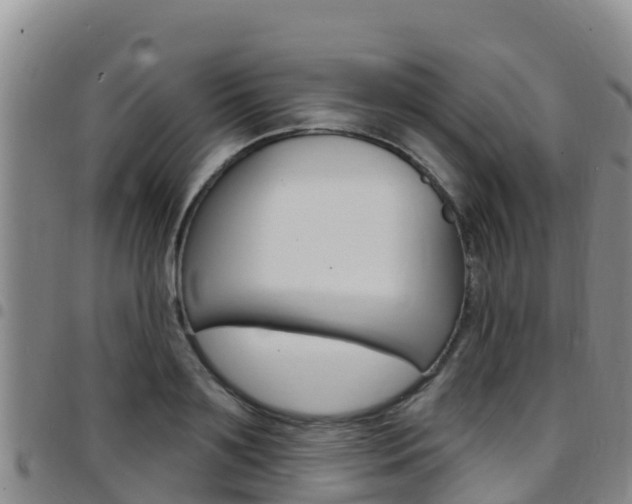 X0000097890891200803141003