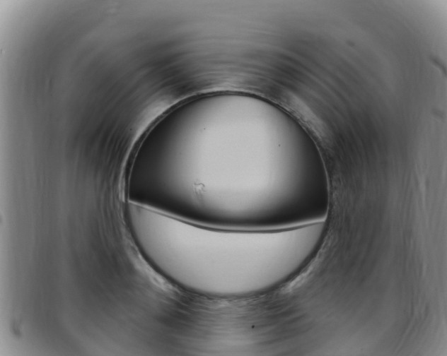 X0000097890892200803141002