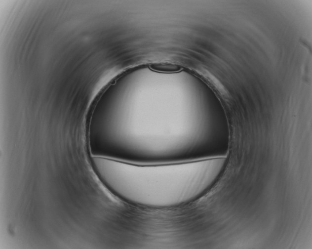X0000097890894200803141002