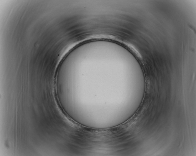 X0000097890895200803141002