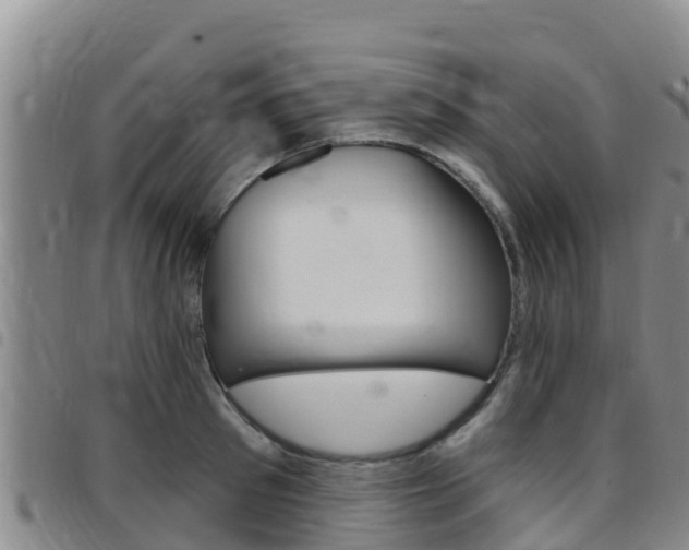 X0000097890897200803141002
