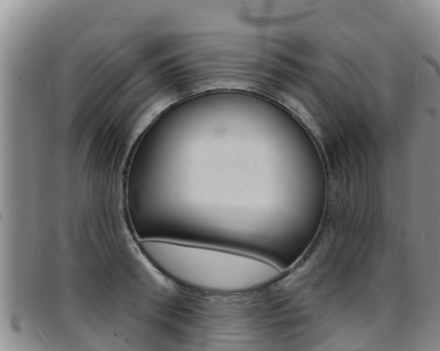 X0000097890898200803141002