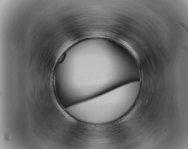 X0000097890901200803141002