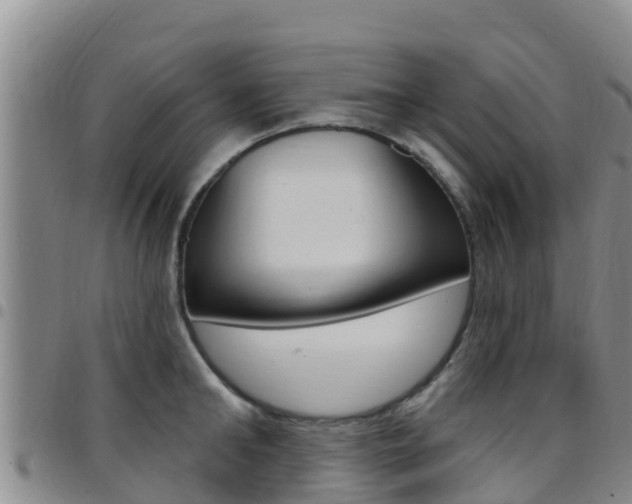 X0000097890902200803141002